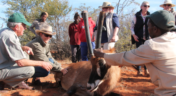 Südafrika Wildreservat Mattanu mit verletzter Antilope