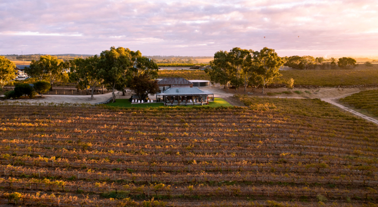 Australien Südaustralien Barossa Valley Foto SATC.jpg