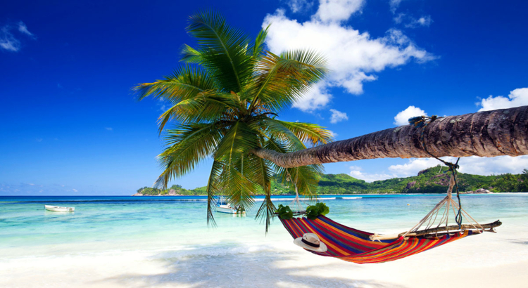 Urlaub Strand Palme Hängematte