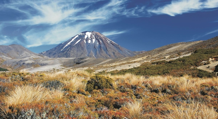 Vulkan Ngauruhoe Tongariro Neuseeland BOTG Foto BOTG