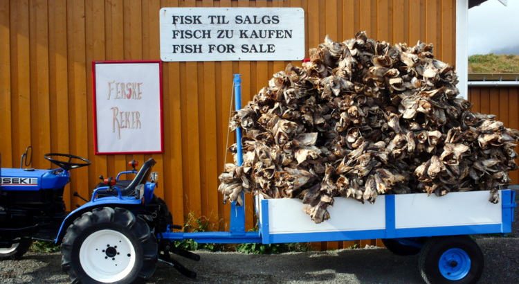 Norwegen Lofoten Anhänger mit Stockfisch Foto Heidi Widerøe Visit Norway.jpg