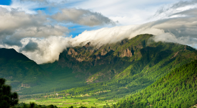 La Palma