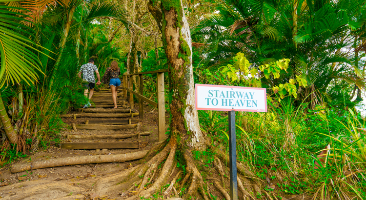 St Lucia Regenwald Stairway to Heaven.jpg