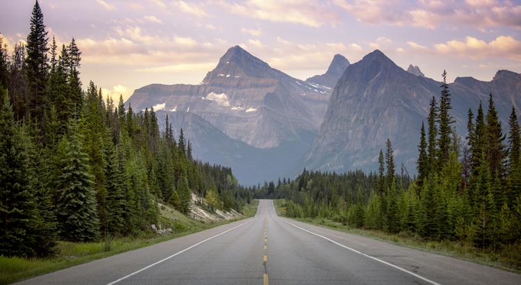 Alberta IcefieldParkway CR Sarah Hatton.jpg