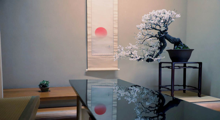 bonsai design Bonsai Tree | White Design main image 0