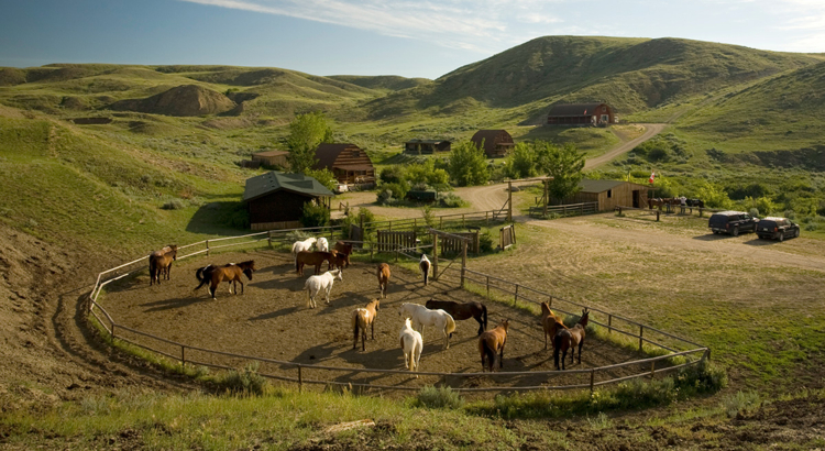 Kanada Saskatchewan La Reata Ranch Koppel Foto Tourism Saskatchewan Greg Huszar.jpg