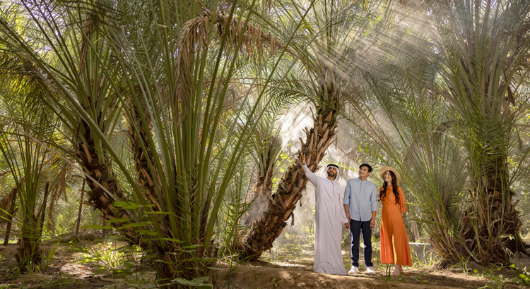 Exploring Al Ain Oasis .jpg