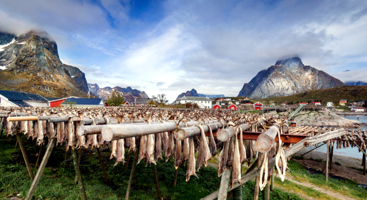 Norwegen Lofoten Stockfisch Trockengestelle iStock Uwe Moser.jpg