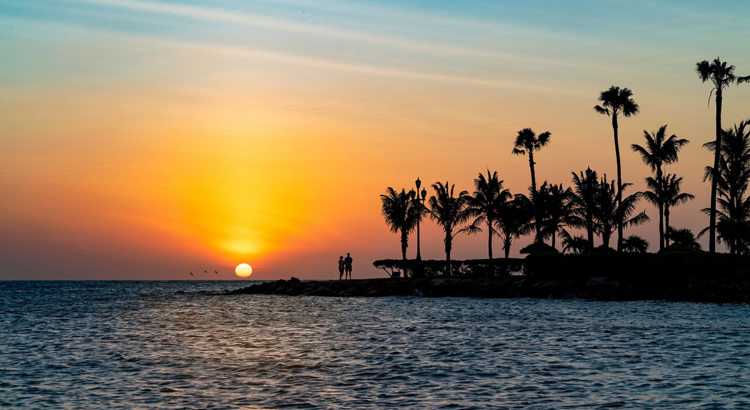 Aruba Sonnenuntergang Meer Palmen Foto Ken Wolffjpg.jpg