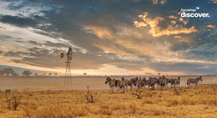 DIS-0154-22_EWD_Fotos-mit-Logo-Reisevor9_1200x675px_V01_4