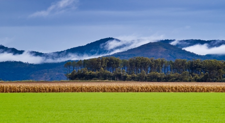 Australien Bergregion Atherton Tablelands