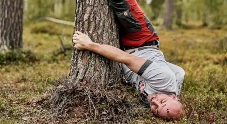 Treehugging Foto Visit Finland