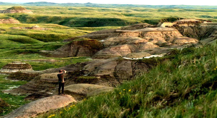 Kanada Saskatchewan Grasslands Nationalpark Foto Tourism Saskatchewan.jpg