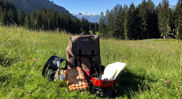 Ameropa IMG_3783_Fonduerucksack Sommer.jpg