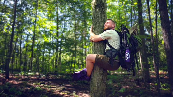 Trees for Days - Hero Image.png