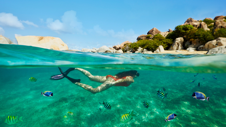 NCL Landausflüge tortola-virgingorda-snorkeling-b-6210.jpg