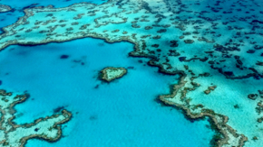 LF_Great Barrier Reefs_Australien_pexels-anna-lena-niesen-401526474-15206547.jpg