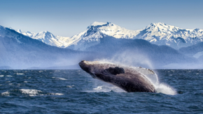 NCL Alaska Wal GettyImages-555743985.jpg