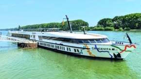 Crucevita Foto Crucevita