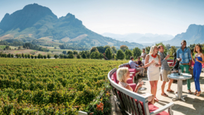 Themenwoche Südafrika 2024 Wein