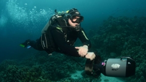 Kurmann Oliver Tauchreisen Travel Team Action Sport Foto Travel Team Action Sport