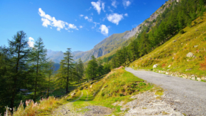 Schweiz Tessin Maggiatal