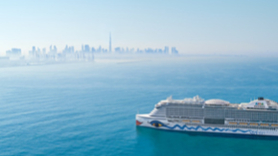 AIDA