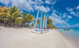 Beachcomber