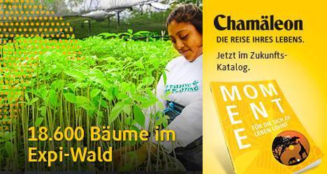 Chamäleon