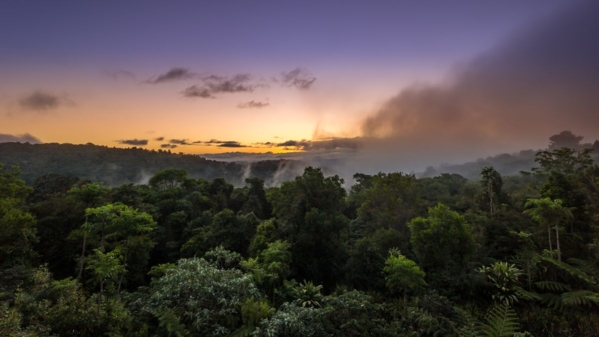 Australien Lamington Park Queensland Foto iStock Kamadie